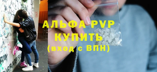 прущие грибы Кинешма