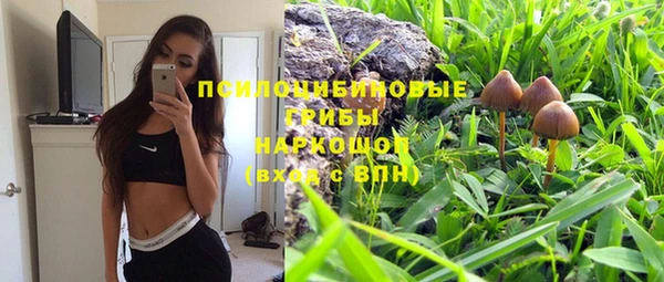 прущие грибы Кинешма