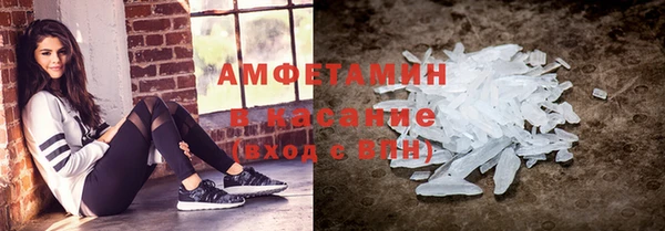 прущие грибы Кинешма
