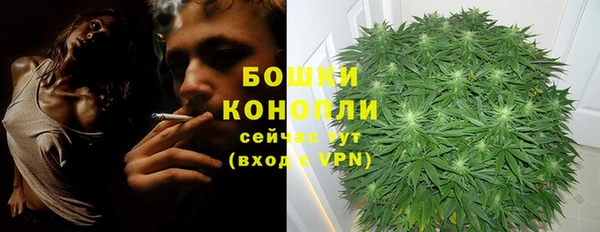 прущие грибы Кинешма