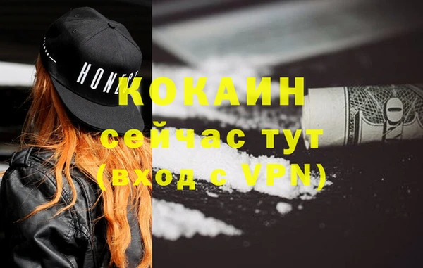 прущие грибы Кинешма