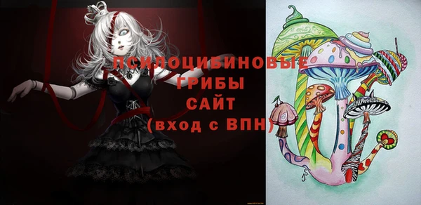 прущие грибы Кинешма