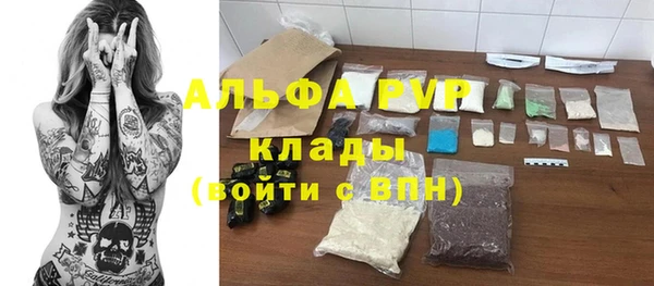 прущие грибы Кинешма