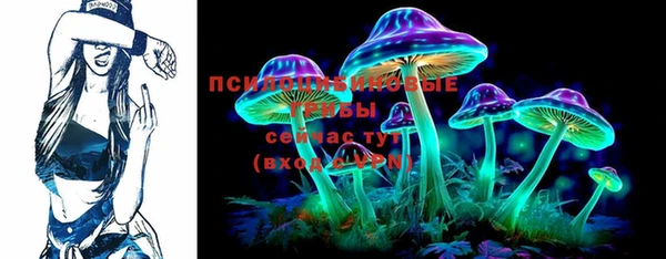 прущие грибы Кинешма